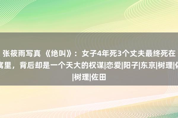 张筱雨写真 《绝叫》：女子4年死3个丈夫最终死在公寓里，背后却是一个天大的权谋|恋爱|阳子|东京|树理|佐田