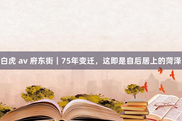 白虎 av 府东街｜75年变迁，这即是自后居上的菏泽