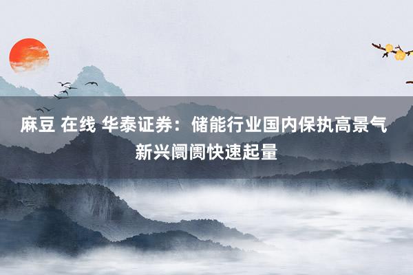 麻豆 在线 华泰证券：储能行业国内保执高景气 新兴阛阓快速起量