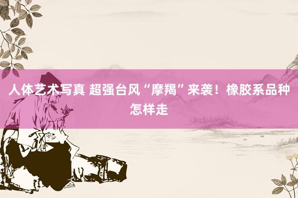 人体艺术写真 超强台风“摩羯”来袭！橡胶系品种怎样走