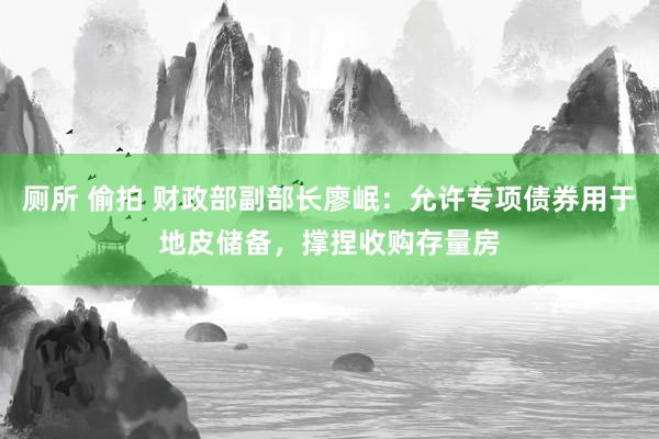 厕所 偷拍 财政部副部长廖岷：允许专项债券用于地皮储备，撑捏收购存量房