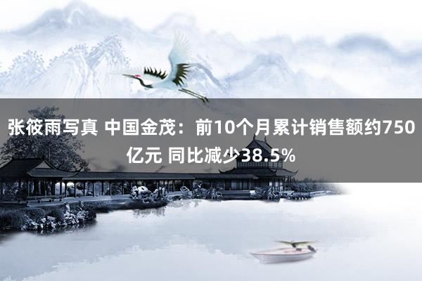张筱雨写真 中国金茂：前10个月累计销售额约750亿元 同比减少38.5%