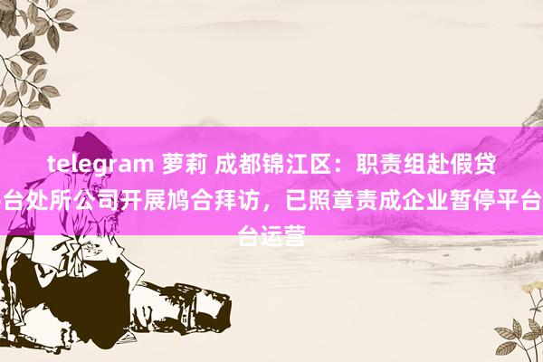 telegram 萝莉 成都锦江区：职责组赴假贷宝平台处所公司开展鸠合拜访，已照章责成企业暂停平台运营