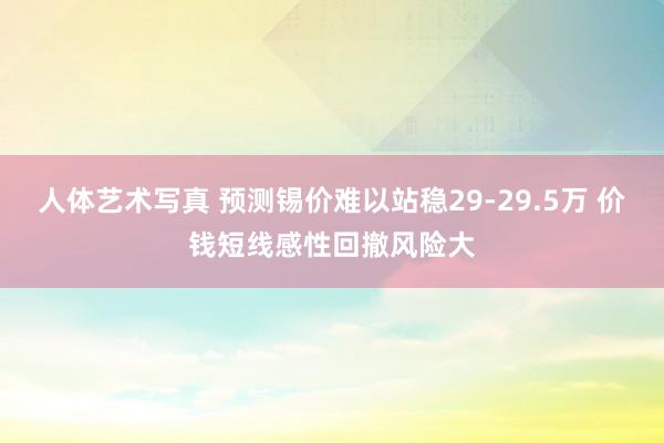 人体艺术写真 预测锡价难以站稳29-29.5万 价钱短线感性回撤风险大
