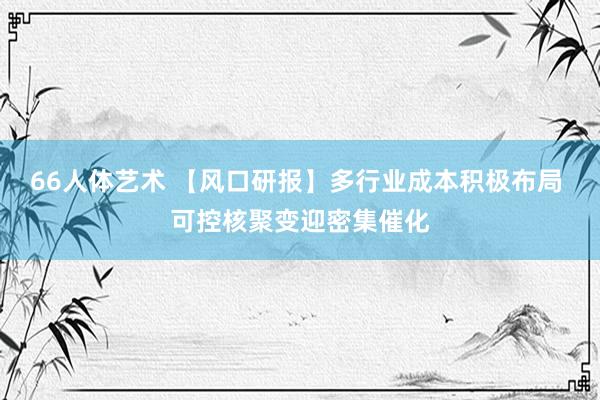 66人体艺术 【风口研报】多行业成本积极布局 可控核聚变迎密集催化